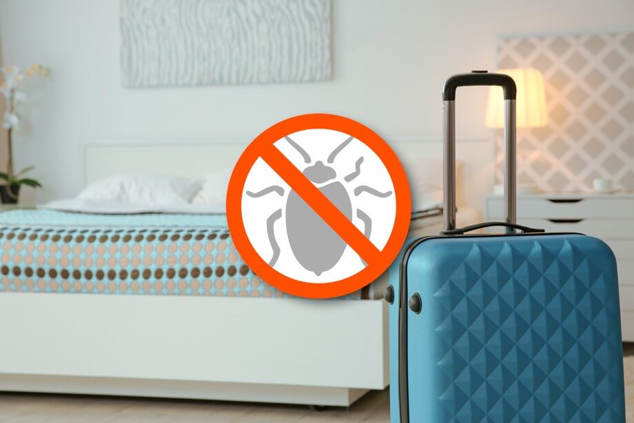 Bedbugs in Hotels