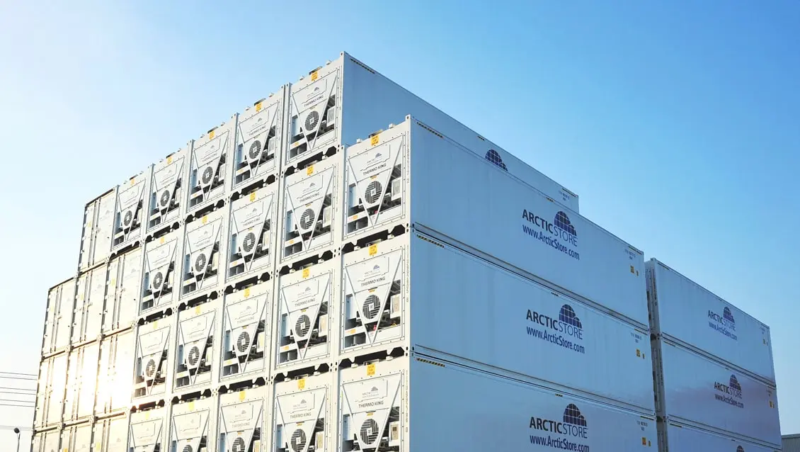 40-Fuß-ArcticStore-Container zur Miete Unschlagbare Kühllagerung