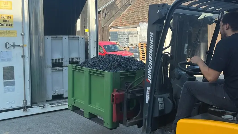 Kühlhäuser für den Weinsektor