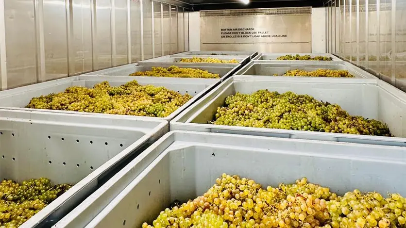Kühlhäuser für den Weinsektor